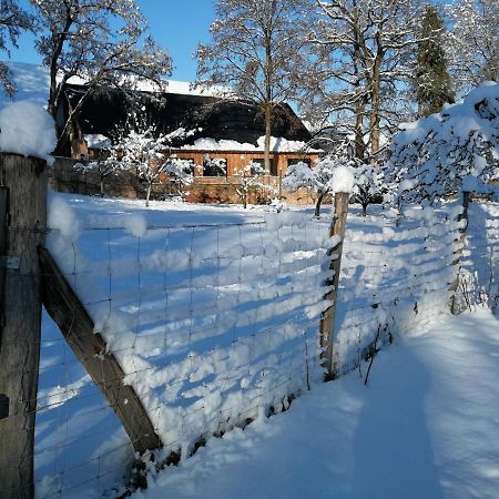 Gite Spacieux Et Cosy A La Campagne Proche De Strasbourg Achenheim Екстериор снимка