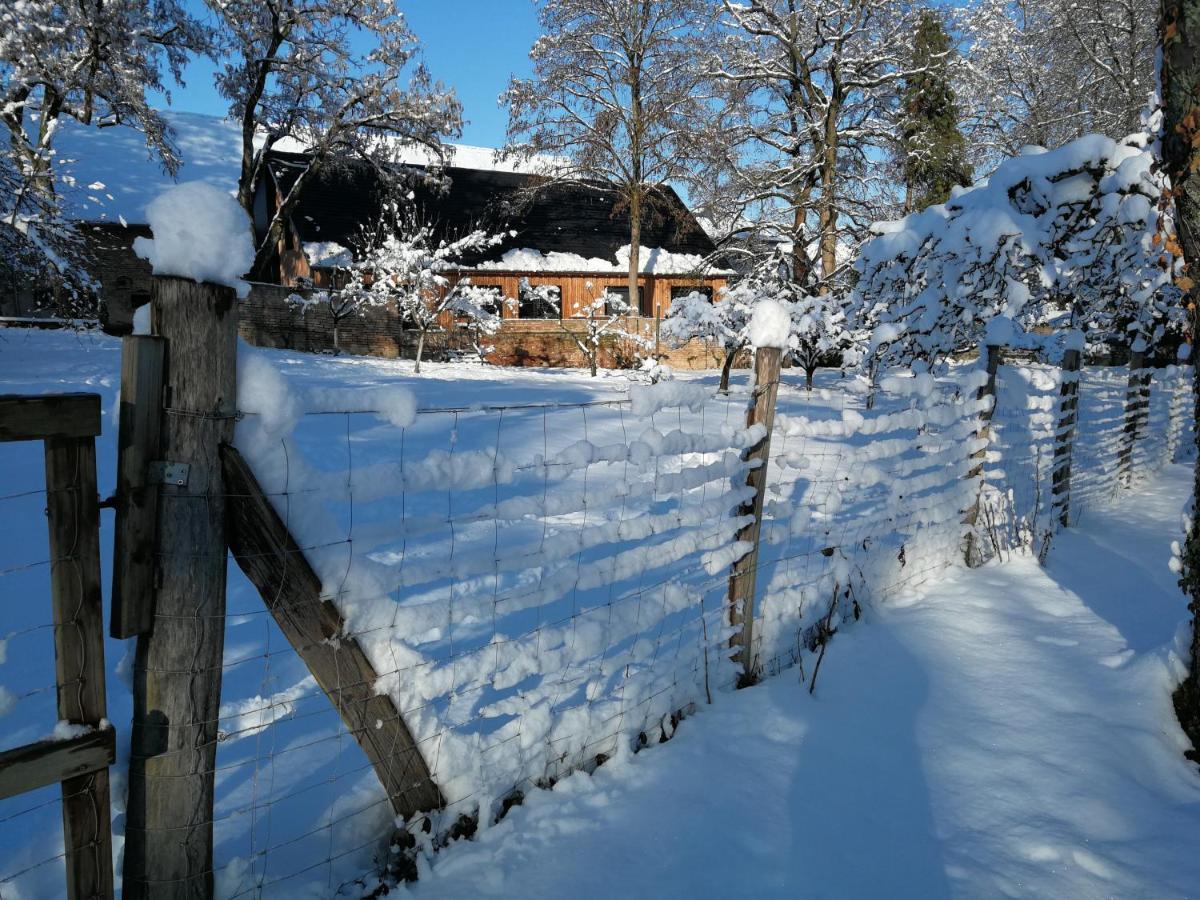 Gite Spacieux Et Cosy A La Campagne Proche De Strasbourg Achenheim Екстериор снимка