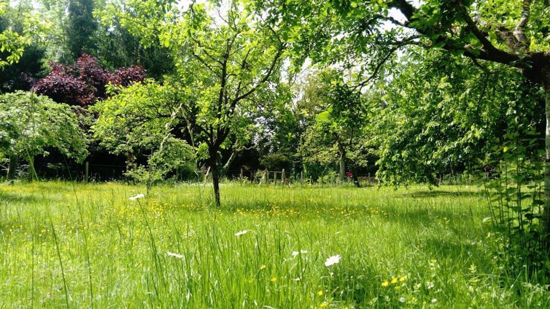 Gite Spacieux Et Cosy A La Campagne Proche De Strasbourg Achenheim Екстериор снимка